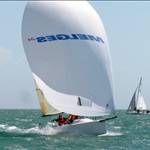 melges24