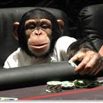 Monkeyboy789