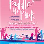 Paddleinpink