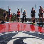 paddlesurfit