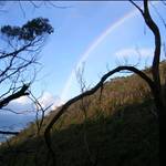 Pan