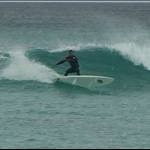 RogueReef