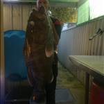 Russty