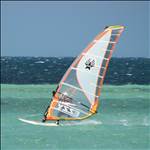 sailboarding