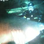 shannon8888
