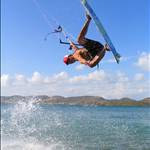 SurferAnt