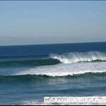 surferx 69