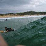 surfskater61