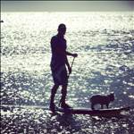 surfsun