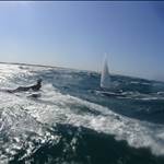 tomsail