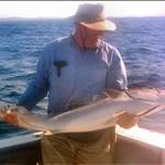 Vinfish