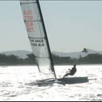 willsea