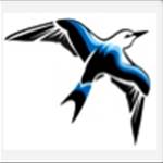 windsports