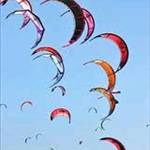 Windyoo