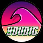 youdigsurf