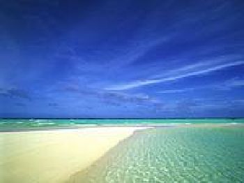 Adopt A Beach - Windsurfing News