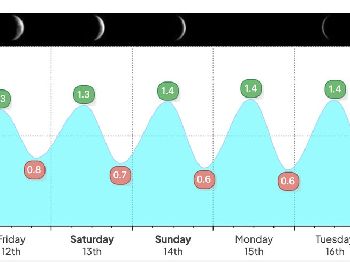 Seabreeze Launches a Dedicated Tides Hub - Weather News