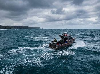 Bass Strait Tuna Run: Warmer 2026 Timing