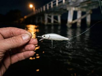 Bream at Night: Lights, Tides and the Right Lure - Fishing Articles