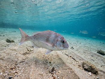 El Nino Winter: What It Means on the Water