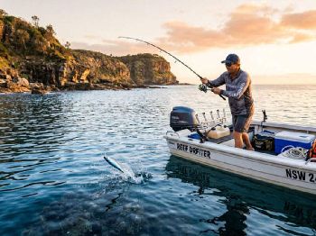Kingfish on Stickbaits: Surface Tactics