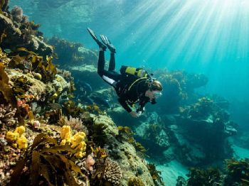 Dry Winter: Clearer Water Through August - Weather News