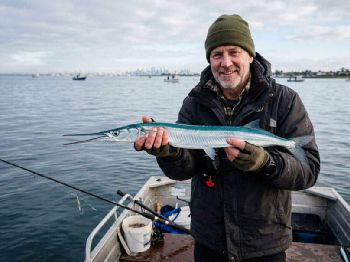 Garfish on Float Tackle: Berley and Bait