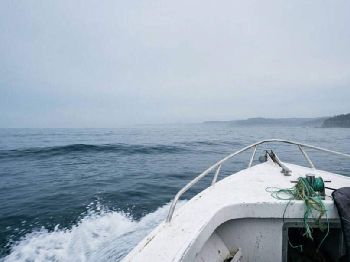 Pre-Front Calm: South Coast Opens Tuesday