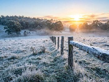 Polar blast: Glen Innes hits -9.1C, alps snow