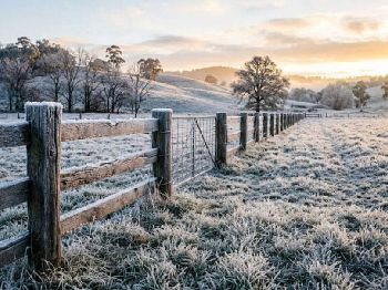 Severe frost hits the southeast, alps to -5 - Weather News