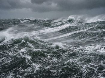 Read the Wind: Judge Its Force Without a Gauge