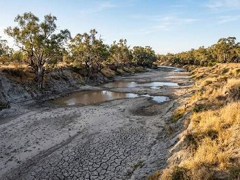 Balonne stops as QLD drought bites