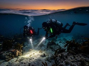 After Dark: Your First Night Dive