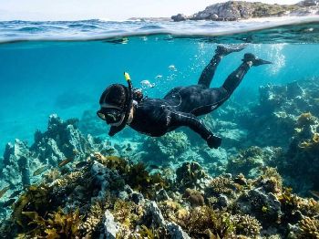 Winter Viz: Why Cold Water Looks Clearer