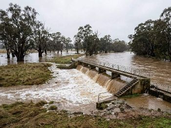 Loddon still in minor flood at Appin South
