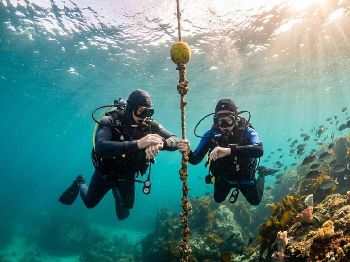 The Safety Stop: Three Minutes That Matter - Diving Articles