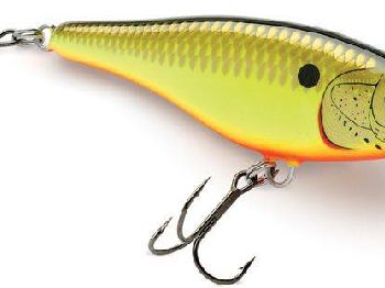 Rapala's new Glidin' Rap 12 - Fishing News