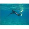 Fish know how to avoid the spear - Cruising News