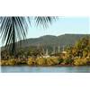 Yacht Club celebrates its 40th birthday - Cruising News