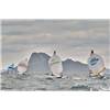 505 Worlds Day 2 Preview Crash and Burn expected - Sailing News