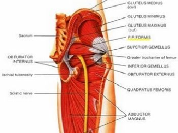 Get your butt in shape - Seriously - Stand Up Paddle News