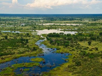 A Stand Up Paddling Safari of the traditional kind. - Stand Up Paddle News